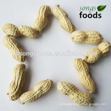 China Shandong Origin Peanut in Shell 9/11 11/13 roasted peanut